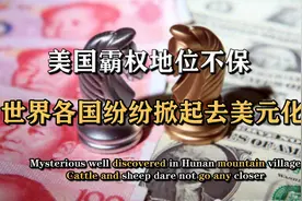 美国被抛弃！人民币结算进程加快 ，美元霸权时日无多视频封面