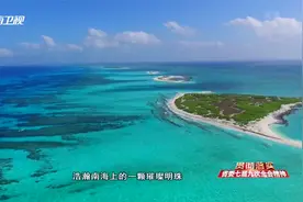 三沙：推进生态文明建设 打造南海璀璨明珠视频封面