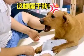 小迷糊万物皆可护，姥爷的脚都不放过，演技爆表，笑果拉满！视频封面