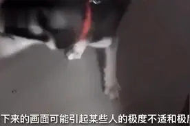 搞笑视频：这是啥玩意儿这是你孩子还是我孩子呀，你给沙发上趴着视频封面
