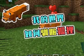 我的世界：如何驯服MC中的狐狸，狐狸驯服后却不吃肉了？