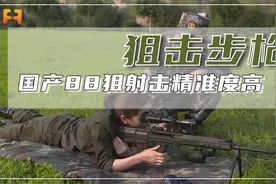 小口径狙击步枪！国产88狙配备可变倍瞄准镜，射击精准度高视频封面