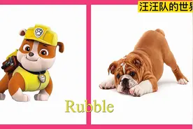 #汪汪队 对比动画  小砾和沙皮狗的对比照太生动了视频封面