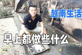 越南农村生活，六点起床开始喂猪喂鸡，美好的一天从干活开始！视频封面