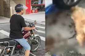 残忍！广东珠海一男子骑车拖行小狗致四肢鲜血淋漓，男子扬长而去视频封面