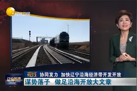 视线：协同发力 加快辽宁沿海经济带开发开放视频封面