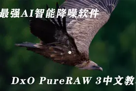 最强RAW文件前期处理软件 DxO PureRAW 3智能AI降噪软件中文教程