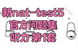 新nat-test5级 官方问题集（第1套）视频封面