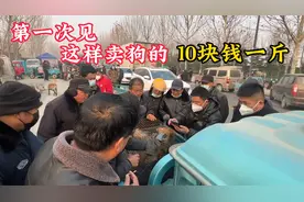 第一次见这样卖狗的，小狗按斤卖“10元”一斤，就这一句话，疯抢视频封面
