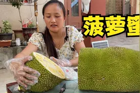 媳妇花66元买一个菠萝蜜，回来拆开看着可真大，上秤一称傻眼了视频封面