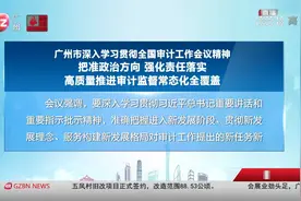 广州市深入学习贯彻全国审计工作会议精神视频封面