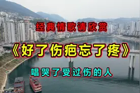 一首扎心情歌《好了伤疤忘了疼》好听走心，句句深情，听一遍就够视频封面