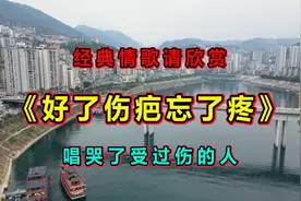一首扎心情歌《好了伤疤忘了疼》好听走心，句句深情，听一遍就够视频封面
