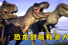 如果把史前恐龙做一个对比，你会发现什么？谁才是最大的？视频封面