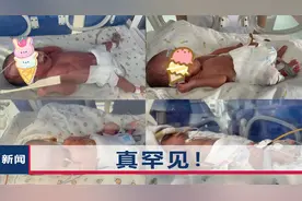 河南一产妇生下龙凤四胞胎，一家人又开心又担心，孩子名字亮了视频封面
