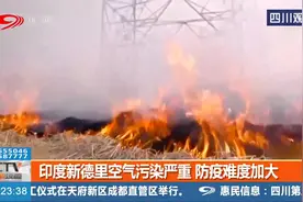 空气质量指数在400以上！印度新德里空气污染严重 防疫难度加大视频封面