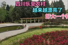 四川农村变化大，村里建起了漂亮的花园，农村生活越来越幸福了视频封面