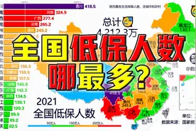 全国低保人数哪最多？@DOU+小助手视频封面