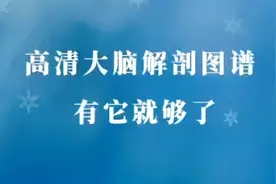 高清大脑解剖图谱，有它就够了视频封面