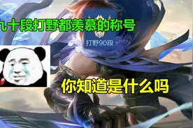 王者荣耀：九十段打野都羡慕的称号，粉丝见了心很酸视频封面