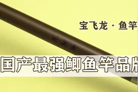 老钓友口中的“国产最强鲫鱼竿品牌”？专业第三方测评来了！
