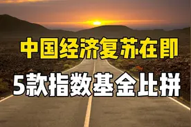 中国经济复苏在即，5款指数基金大比拼视频封面