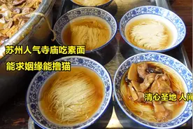 苏州人气最高的寺庙，求姻缘撸猫吃素面，清心圣地人间烟火在这里视频封面