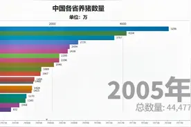中国各省份养猪数量排行视频封面