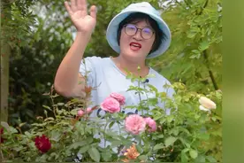三种月季，让你的阳台开花不断！视频封面