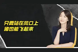 只要站在风口上，猪也能飞起来