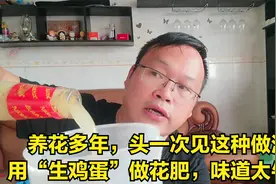 用生鸡蛋做花肥？头一次见，简单、肥足视频封面
