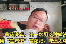 用生鸡蛋做花肥？头一次见，简单、肥足视频封面