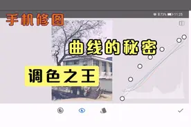 Snapseed借用曲线预设调色，事半功倍视频封面