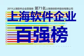 2019上海软件企业百强榜！支付宝荣膺榜首。视频封面