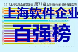2019上海软件企业百强榜！支付宝荣膺榜首。视频封面