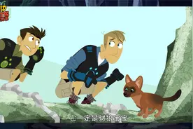 【动物兄弟】动画88：小心！豺狼妈妈回来了，它会吃掉你视频封面