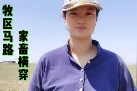 为何在内蒙的公路上发生意外？江艳道出外地人不知内情，该咋避嫌视频封面