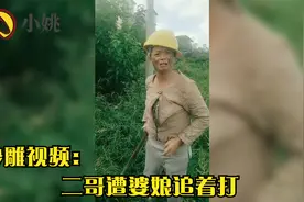 笑到肚子疼的沙雕视频：二哥遭婆娘追着打视频封面