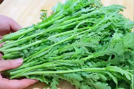 春季要多吃茼蒿，减脂瘦身又养肤，我家一周吃7次，越吃越苗条视频封面