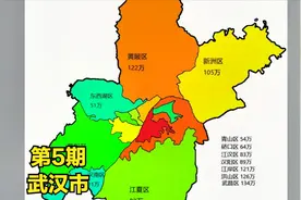 武汉市各区常住人口排名视频封面