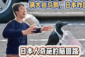 最让我吃惊的中日差异：日本为啥满大街乌鸦？乌鸦智商超群人气旺视频封面