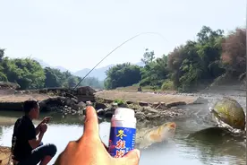 小伙往河边撒入“白色粉末”，河里的鱼都纷纷跑上来，简直太神了视频封面