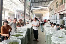 你们喝了那么多的茶饮料，到底用的什么茶叶原料呢，卫生安全吗视频封面