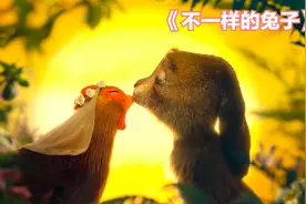 鸡和兔子恋爱了，爱的结晶竟是只会下蛋的小兔子，治愈动画视频封面