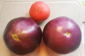 最适合夏天吃的茄子做法，加个西红柿，比吃肉还香，真解馋