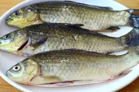 川菜师傅教你邮亭鲫鱼，香浓麻辣鱼肉细嫩鲜香，好吃到没有朋友