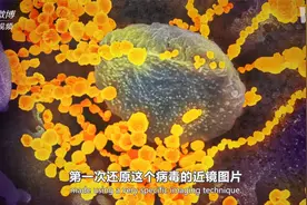 新冠病毒长什么样？视频封面