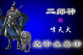 二郎神的哮天犬是什么品种视频封面