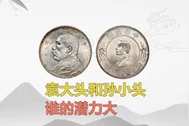 袁大头和孙小头谁的潜力大视频封面