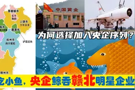 中央上收赣北上饶景德镇九江乐平等6大明星企业，从此赣企变央企视频封面